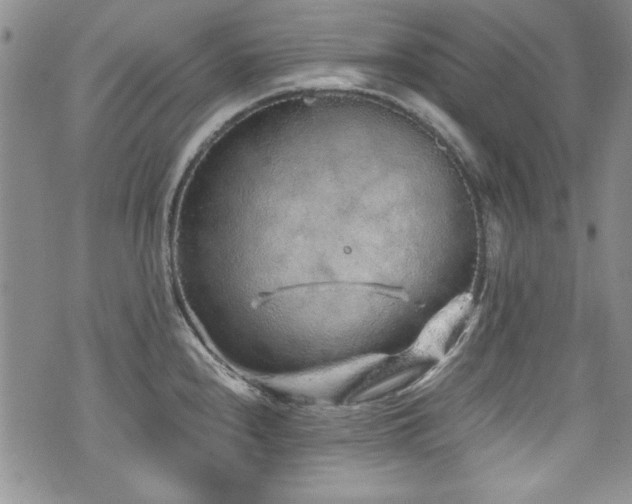 X0000076271240200609281157