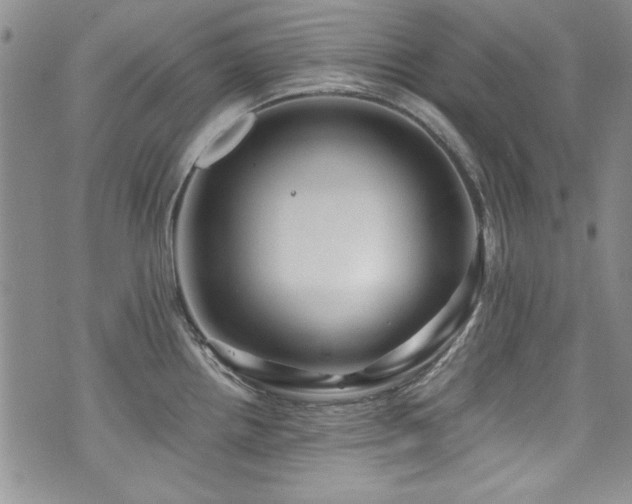 X0000076271242200609281157