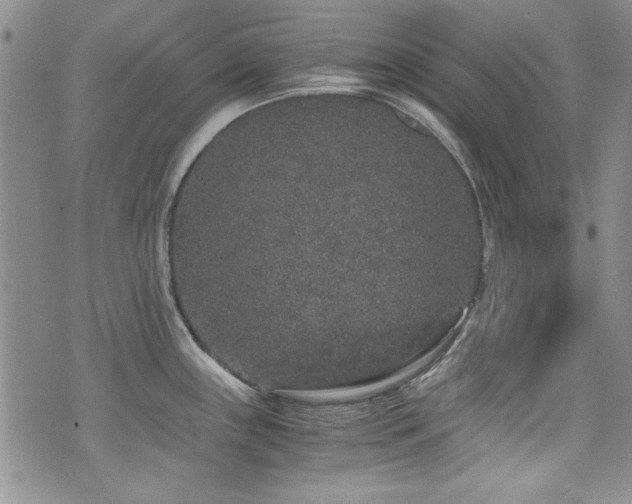 X0000076271243200609281157