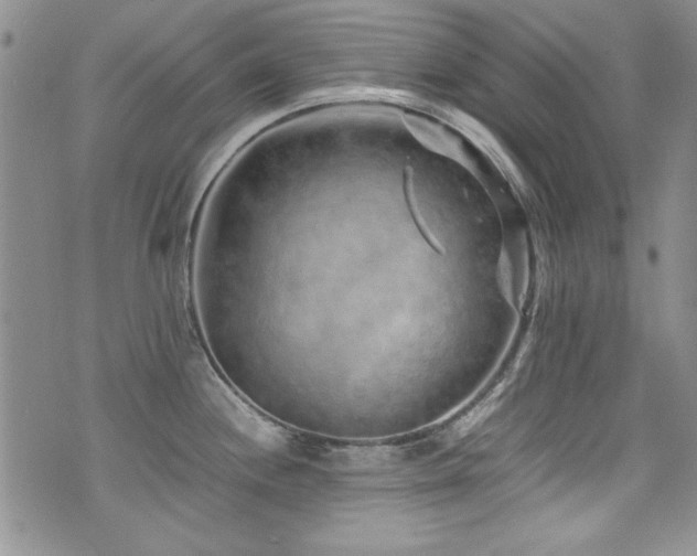 X0000076271244200609281157