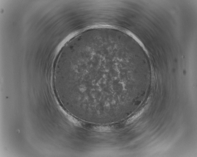 X0000076271245200609281157