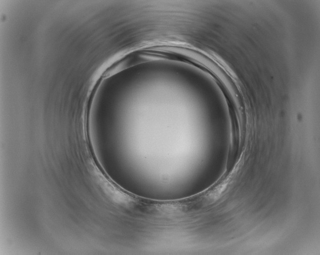 X0000076271246200609281157