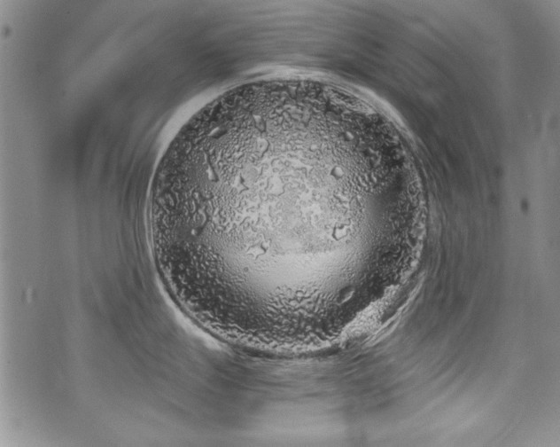 X0000076271247200609281157