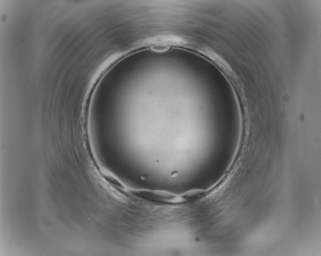 X0000076271248200609281157