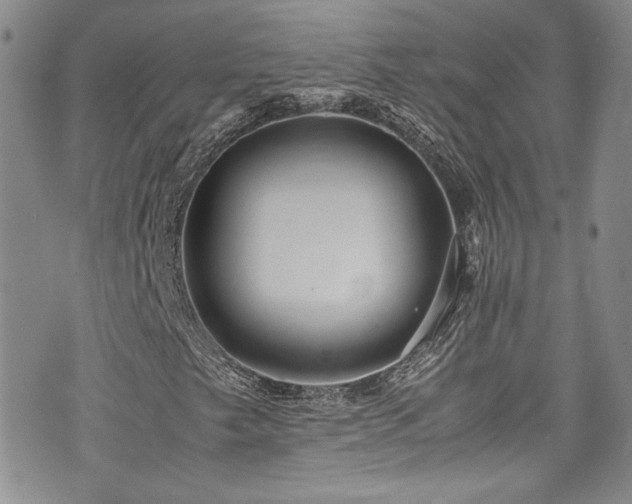 X0000076271249200609281157