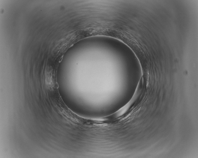 X0000076271250200609281157