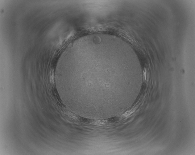 X0000076271251200609281157