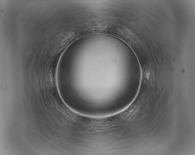 X0000076271252200609281156