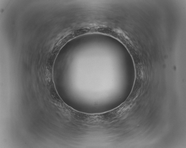 X0000076271253200609281156