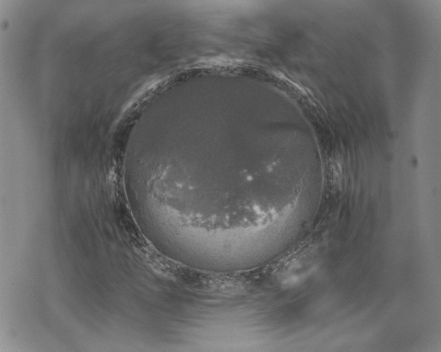 X0000076271254200609281156