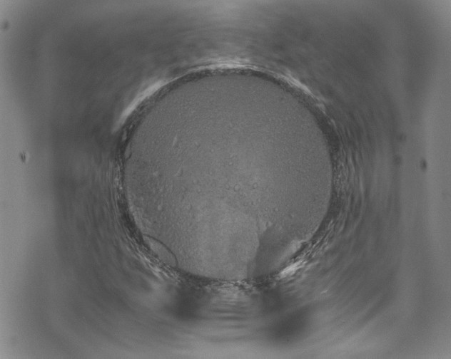 X0000076271255200609281156