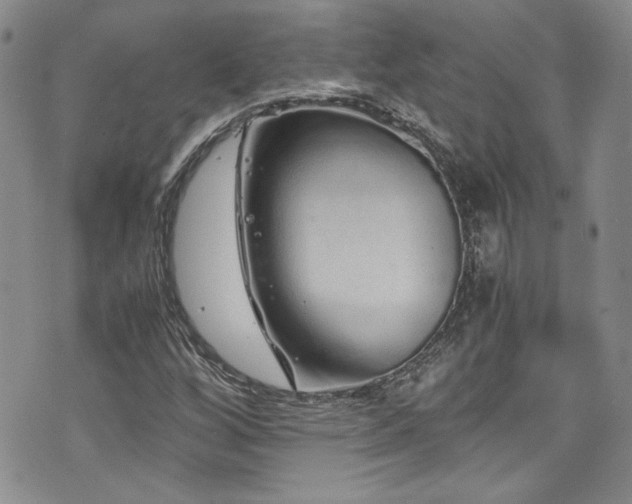 X0000076271256200609281156