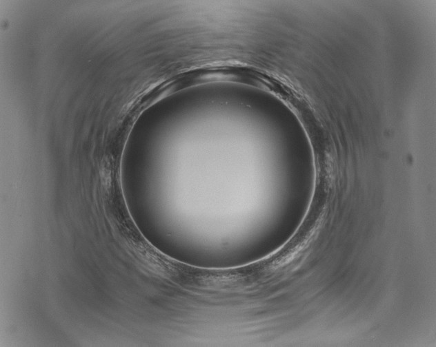 X0000076271257200609281156