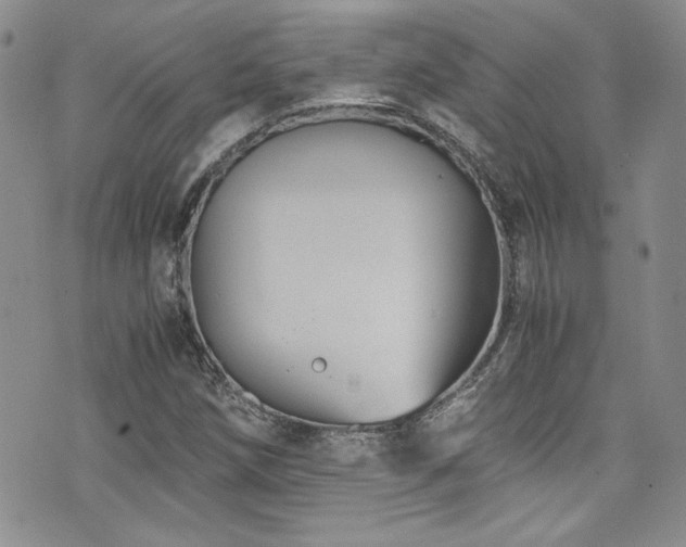 X0000076271258200609281156