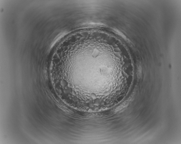 X0000076271259200609281156