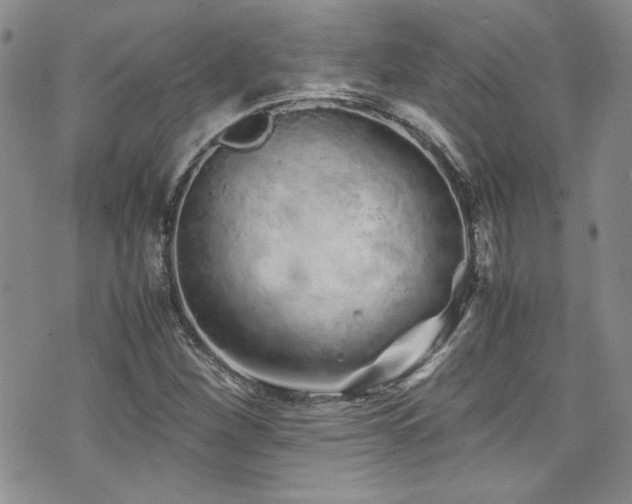 X0000076271260200609281156