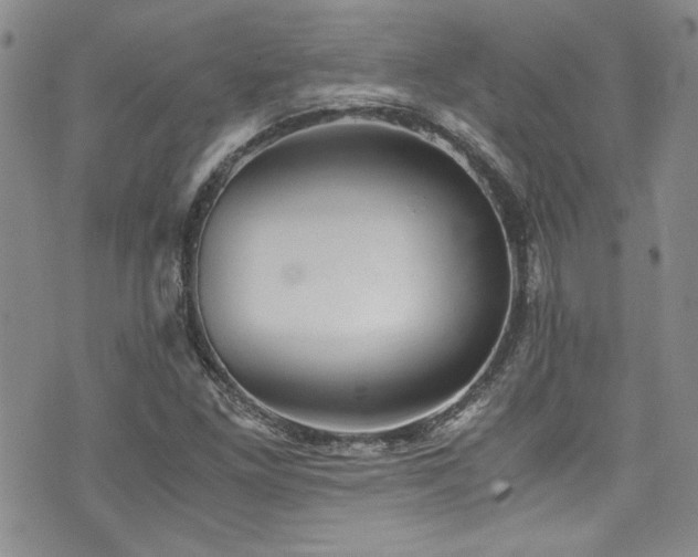 X0000076271261200609281156