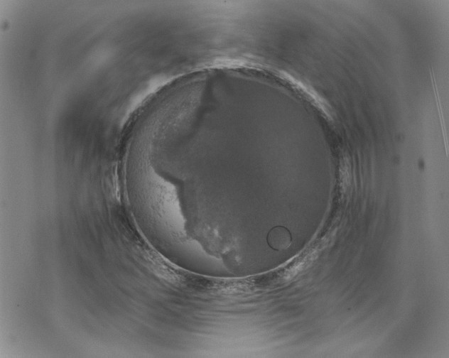 X0000076271262200609281156