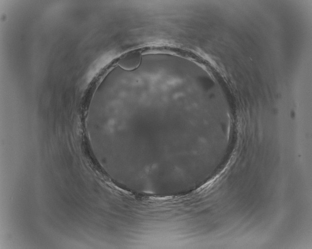 X0000076271263200609281156