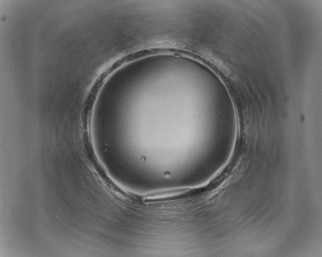 X0000076271264200609281156