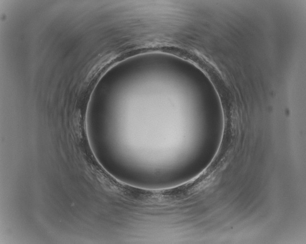 X0000076271265200609281156