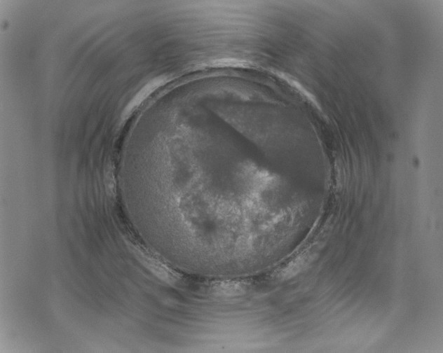 X0000076271266200609281156