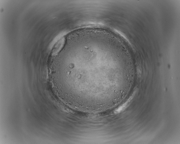 X0000076271267200609281156