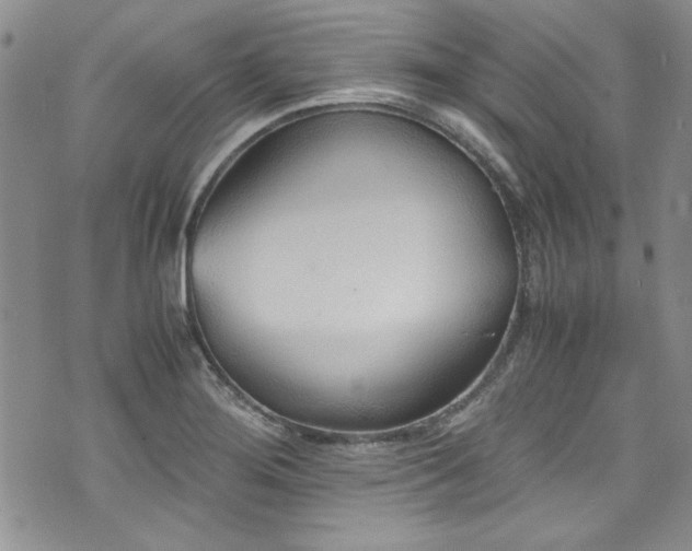 X0000076271276200609281156