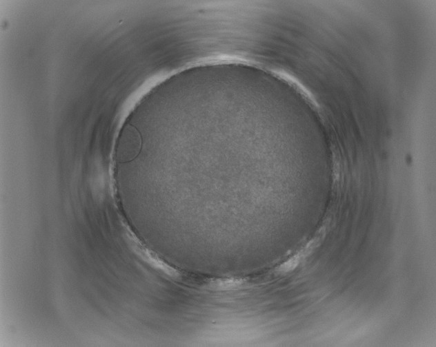 X0000076271278200609281156