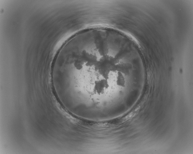 X0000076271279200609281156