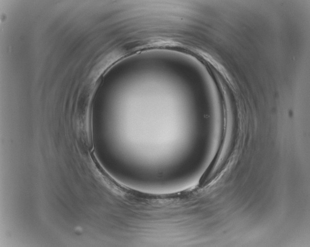 X0000076271281200609281156