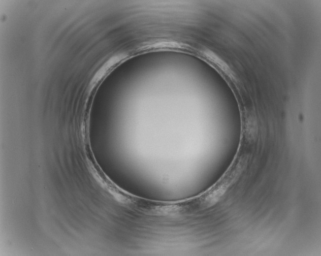 X0000076271282200609281156