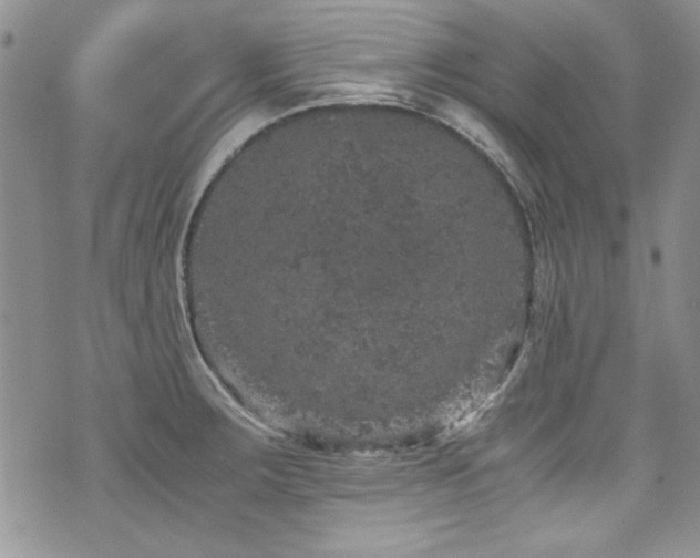 X0000076271283200609281156