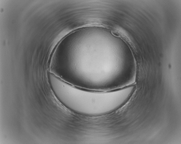 X0000076271284200609281156