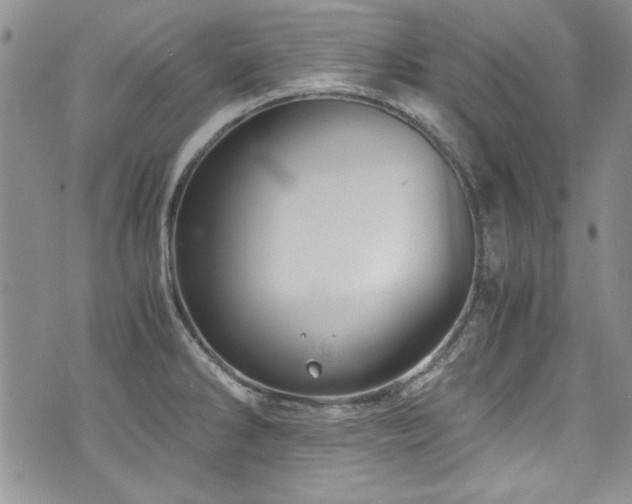 X0000076271286200609281156