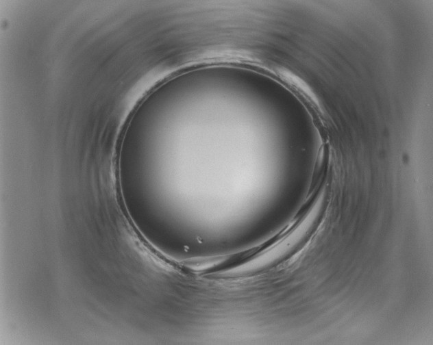 X0000076271288200609281156