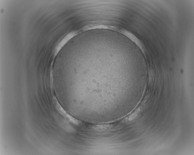 X0000076271290200609281156