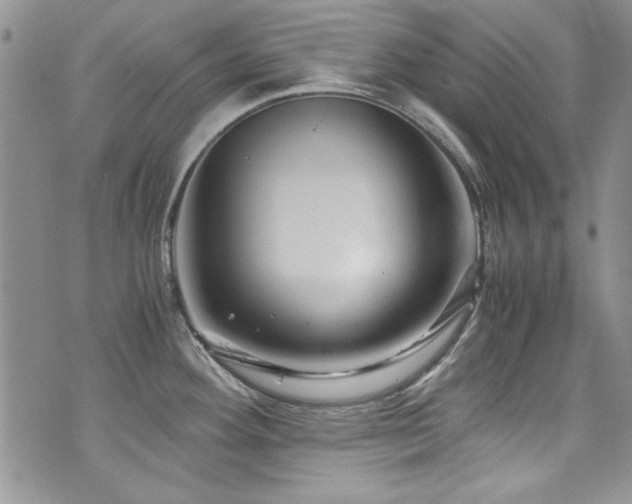 X0000076271292200609281156