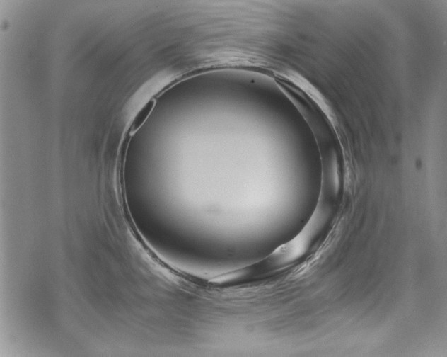 X0000076271293200609281156