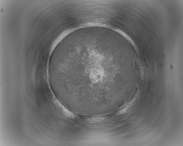 X0000076271294200609281156