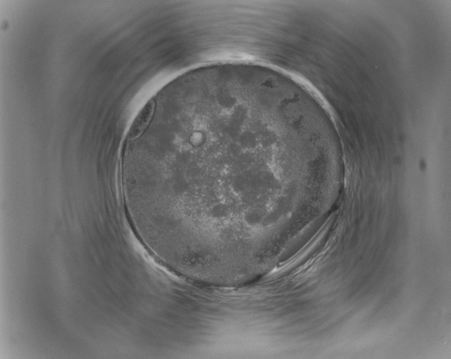 X0000076271295200609281156