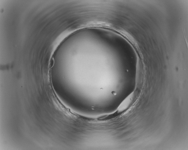 X0000076271296200609281156