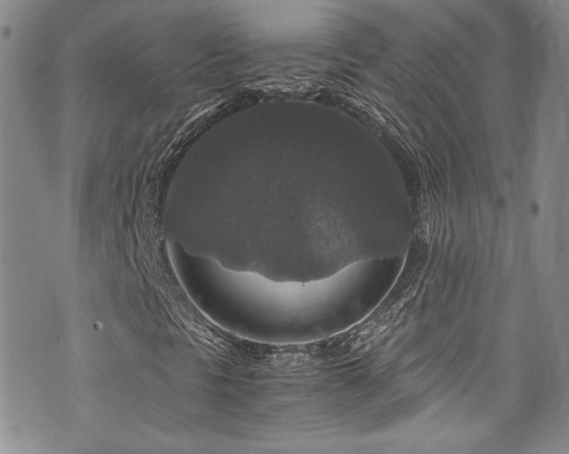 X0000076271297200609281155