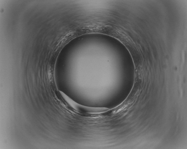 X0000076271298200609281155