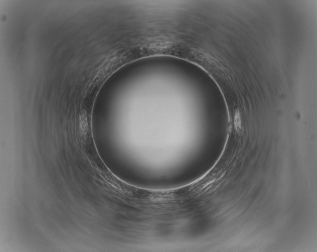 X0000076271299200609281155