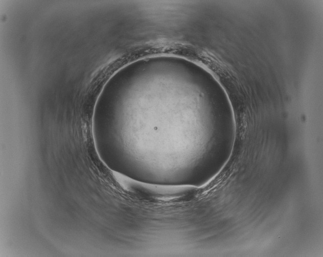 X0000076271302200609281155