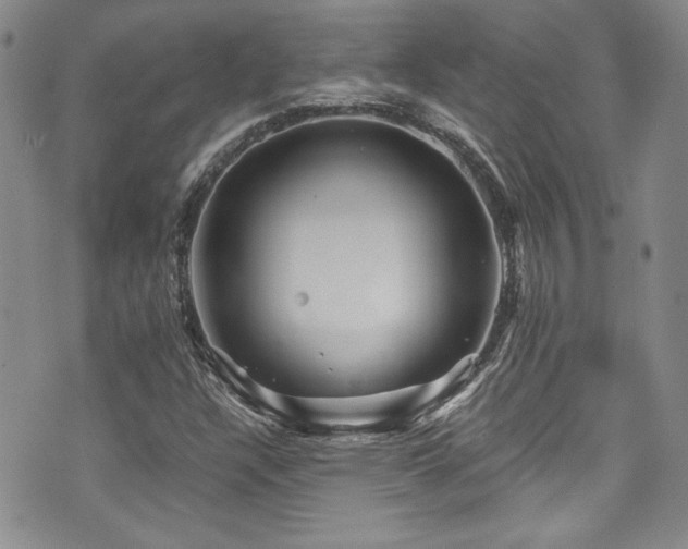 X0000076271304200609281155