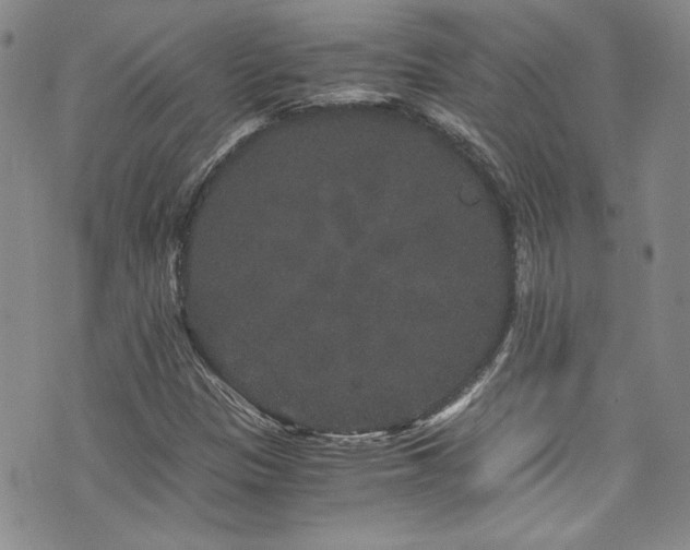 X0000076271305200609281155