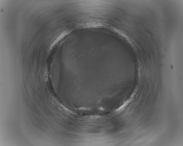 X0000076271306200609281155