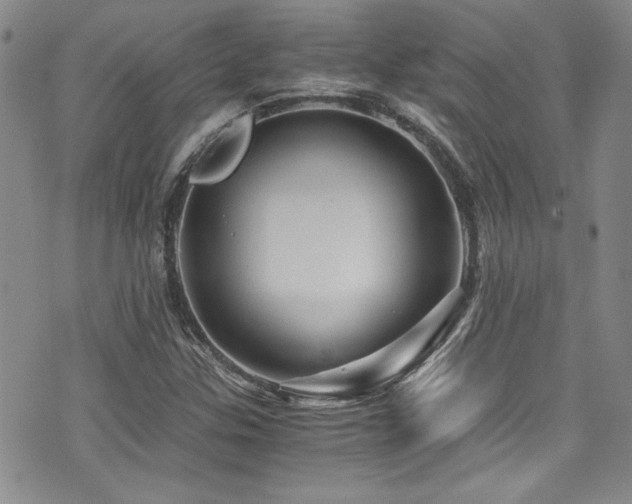 X0000076271307200609281155